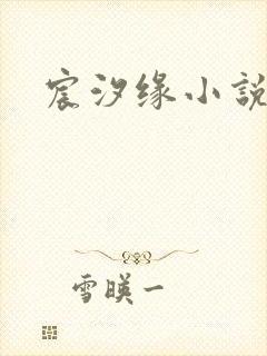 宸汐缘小说封面