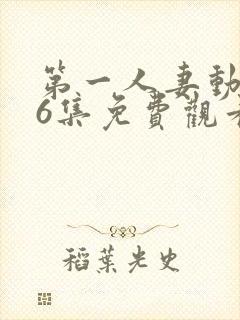 第一人妻动漫第6集免费观看全集