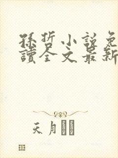 孙哲小说免费阅读全文最新章节