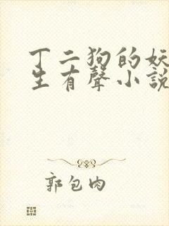 丁二狗的妖孽人生有声小说