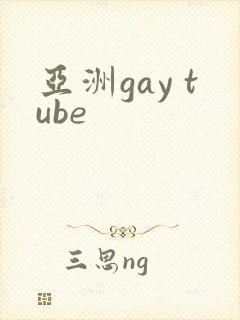 亚洲gay tube
