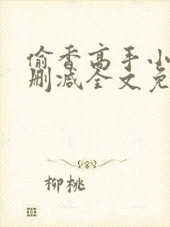 偷香高手小说无删减全文免费