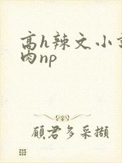 高h辣文小说纯肉np