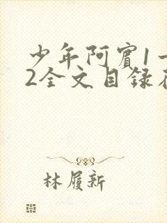 少年阿宾1一72全文目录在线