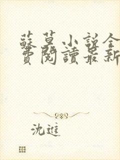 苏莫小说全文免费阅读最新章节封面