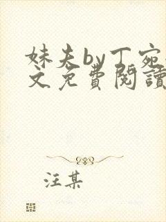 妹夫by丁宛全文免费阅读笔趣阁