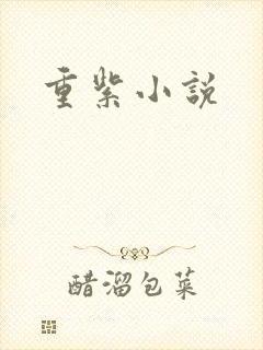 重紫小说