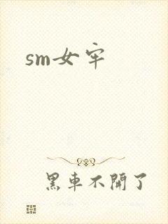 sm女牢