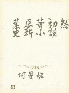 叶辰萧初然最快更新小说