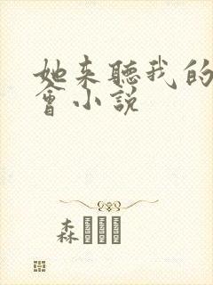 她来听我的演唱会小说