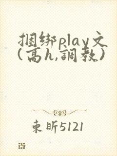 捆绑play文(高h,调教)