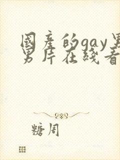 国产的gay男男片在线看