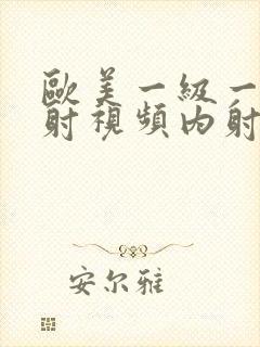 欧美一级一片内射视频内射在线免费观看