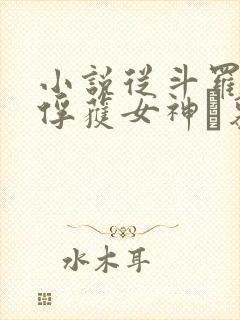 小说从斗罗开始俘获女神鞪慕完全版