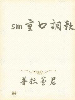 sm重口调教文