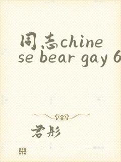 同志chinese bear gay 69