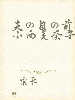 夫の目の前で犯小向美奈子封面