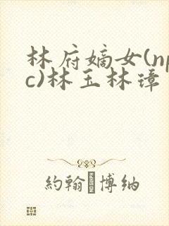 林府嫡女(npc)林玉林璋