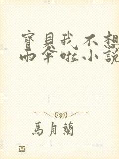 宝贝我不想带小雨伞啦小说封面