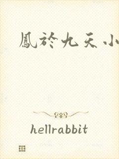 凤于九天小说封面