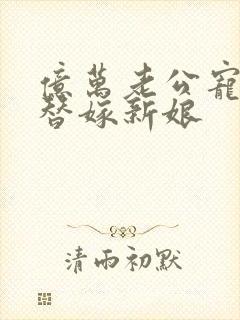 亿万老公宠上天替嫁新娘