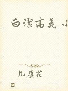 白洁高义 小说