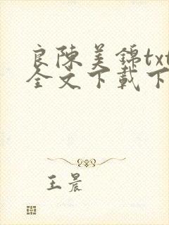 良陈美锦txt全文下载下载