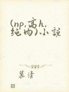 (np,高h,纯肉)小说