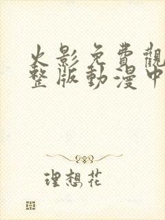 火影免费观看完整版动漫中文版封面