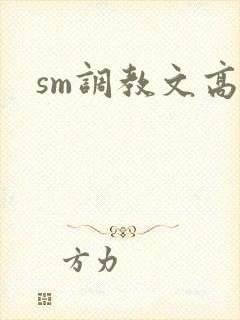sm调教文高h