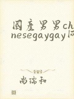 国产男男chinesegaygay网站