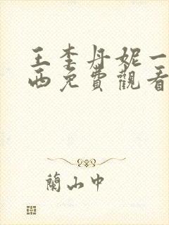 王李丹妮一路向西免费观看封面