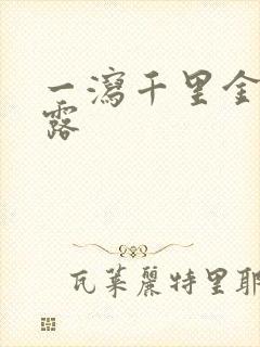 一泻千里金银花露封面