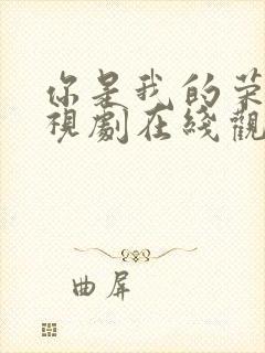 你是我的荣耀电视剧在线观看免费观看