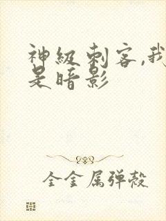 神级刺客,我即是暗影