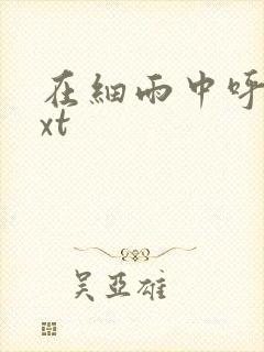 在细雨中呼喊txt