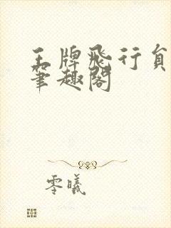 王牌飞行员苏远笔趣阁封面