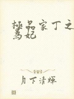 极品家丁之册母为妃封面