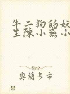 牛二狗的妖孽人生陈小燕小说封面