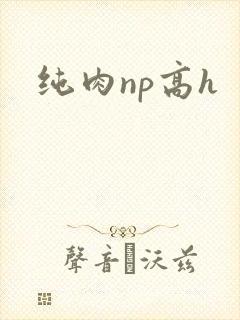 纯肉np高h封面