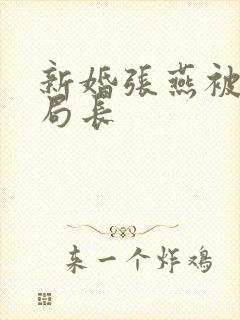 新婚张燕被两个局长封面