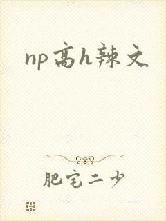 np高h辣文
