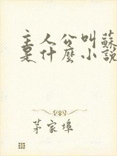 主人公叫苏洛的是什么小说