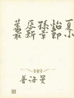 叶辰孙怡夏若雪最新章节小说封面