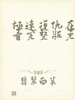 极速复仇在线观看完整版免费高清