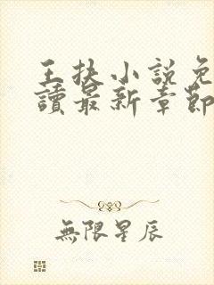 王扶小说免费阅读最新章节无弹窗