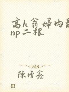 高h翁妇肉乱文np二根