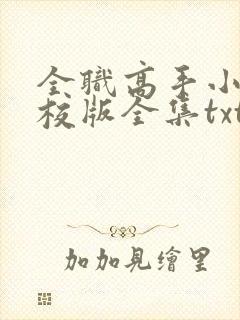 全职高手小说精校版全集txt封面