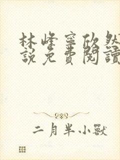 林峰宁欣然的小说免费阅读正版