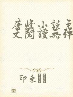 唐峰小说免费全文阅读无弹窗封面